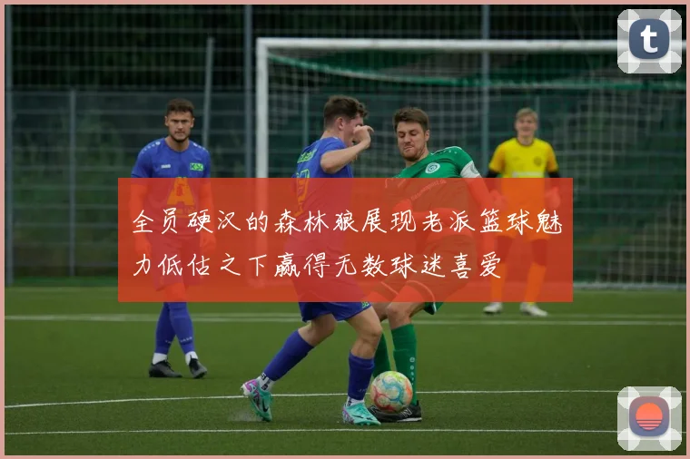 全员硬汉的森林狼展现老派篮球魅力低估之下赢得无数球迷喜爱